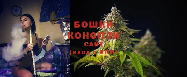 ECSTASY Кодинск