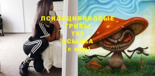 ECSTASY Кодинск