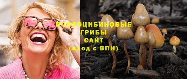 первитин Коряжма